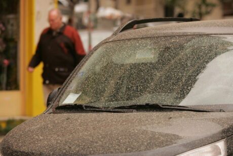 Sahara Dust on Car