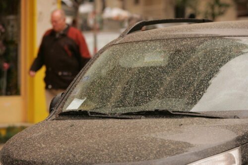 Sahara Dust on Car